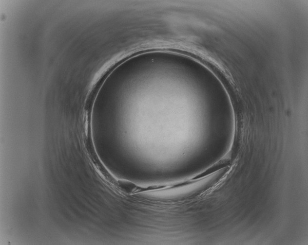 X0000083611509200702201236