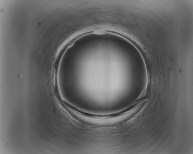 X0000083611510200702201236