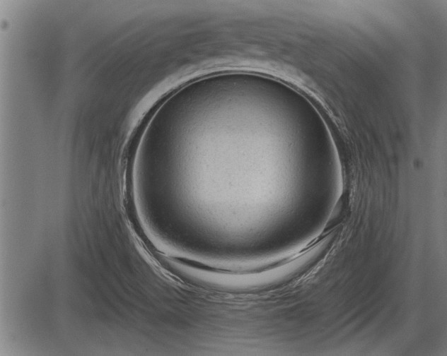 X0000083611511200702201236