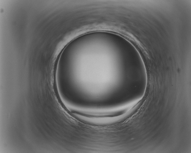 X0000083611512200702201236