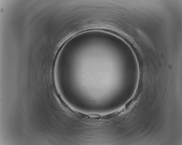 X0000083611513200702201236