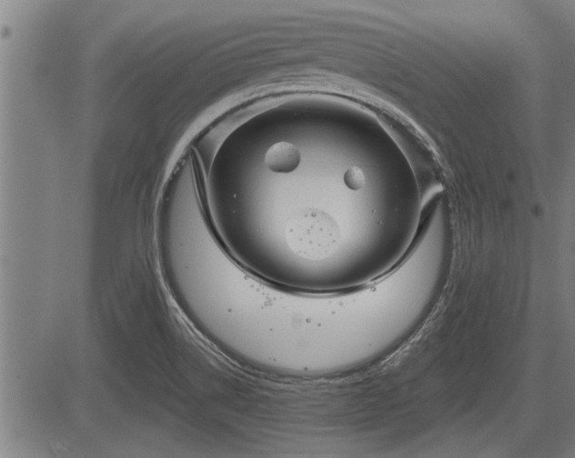 X0000083611514200702201236