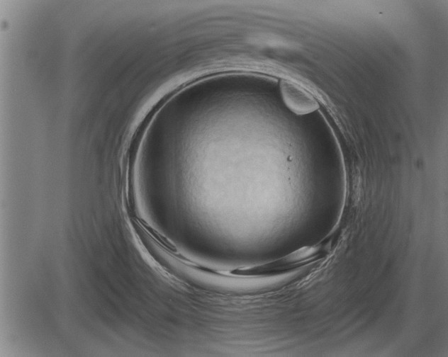 X0000083611515200702201236