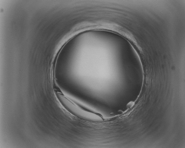 X0000083611516200702201236