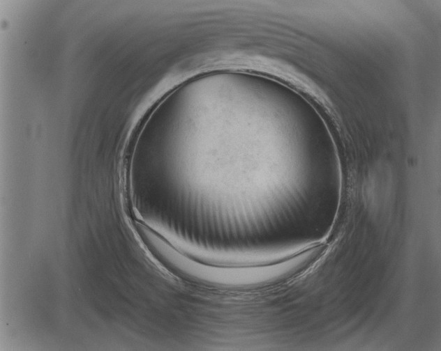 X0000083611517200702201236