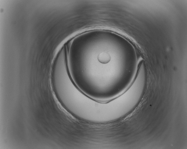 X0000083611518200702201236