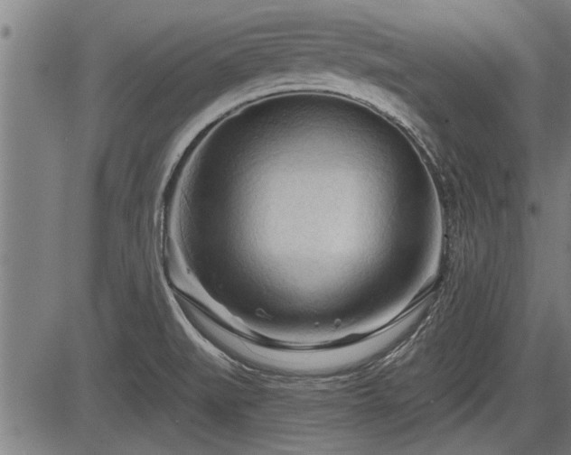 X0000083611519200702201236