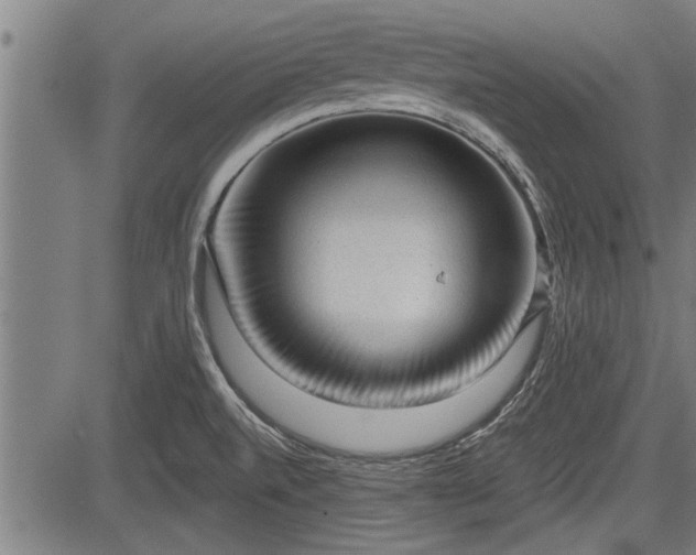 X0000083611520200702201236