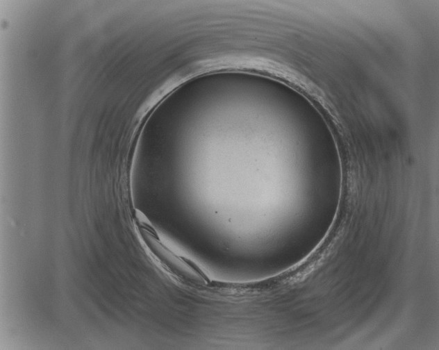 X0000083611521200702201236