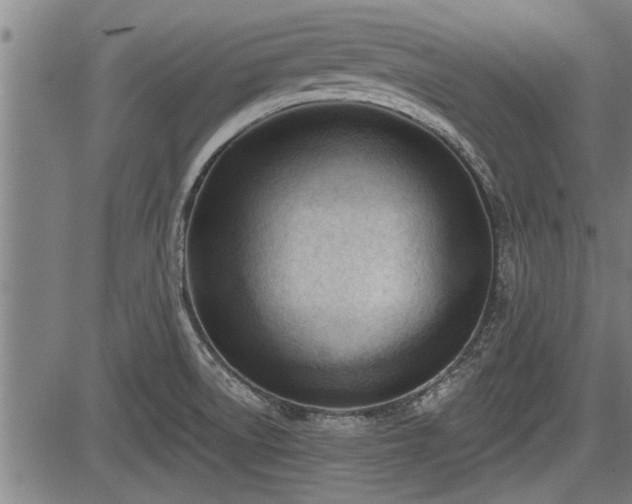 X0000083611522200702201236