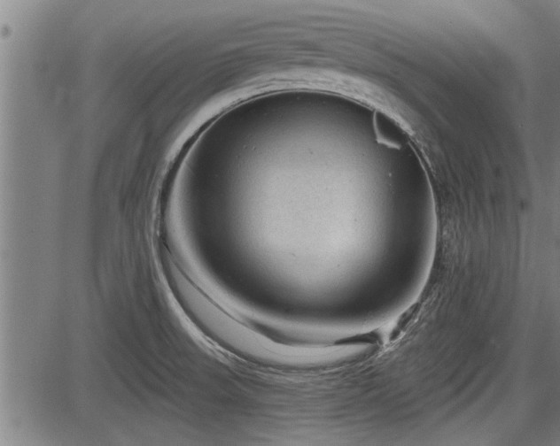 X0000083611523200702201236