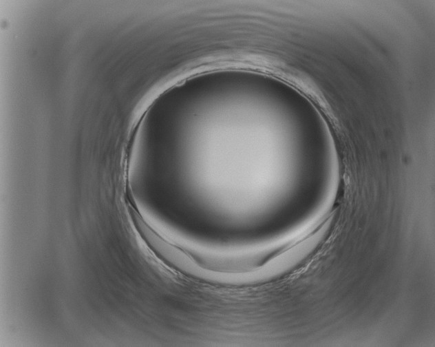 X0000083611524200702201236