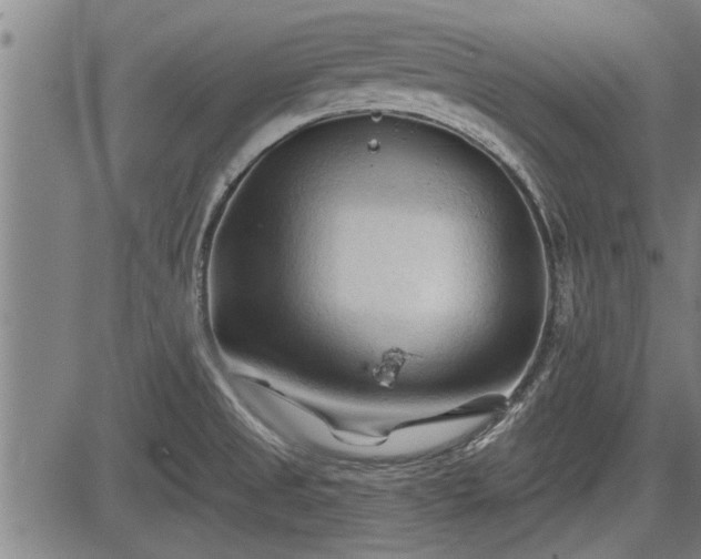 X0000083611525200702201236