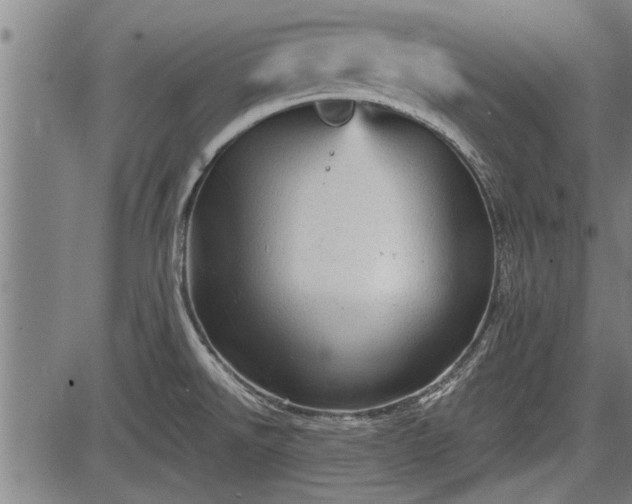 X0000083611526200702201236