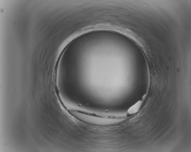 X0000083611527200702201236