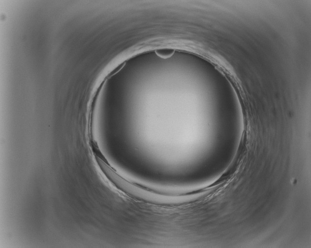 X0000083611528200702201236