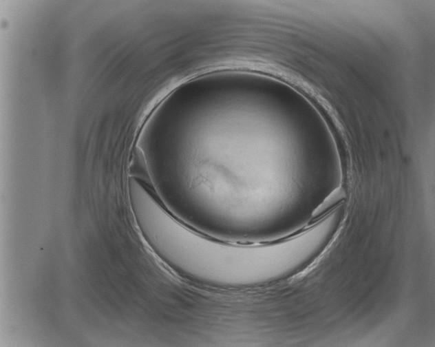 X0000083611529200702201236