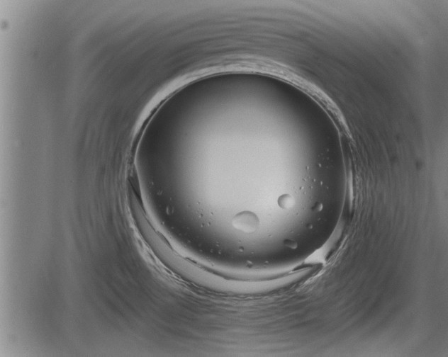 X0000083611530200702201236