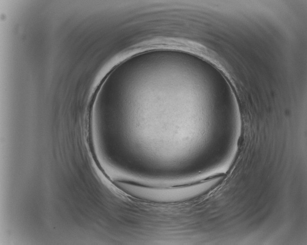 X0000083611531200702201236