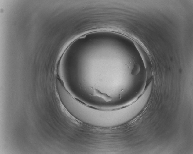 X0000083611532200702201236