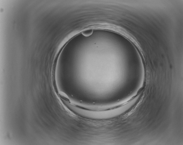 X0000083611533200702201236