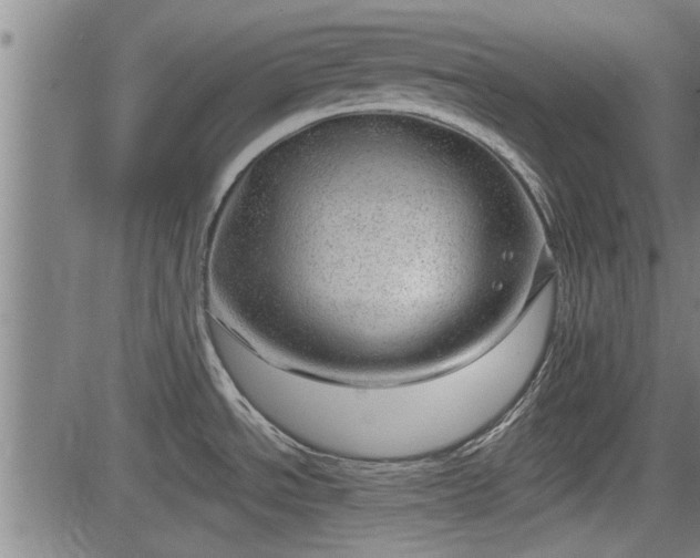 X0000083611534200702201236