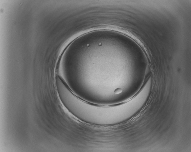 X0000083611535200702201236