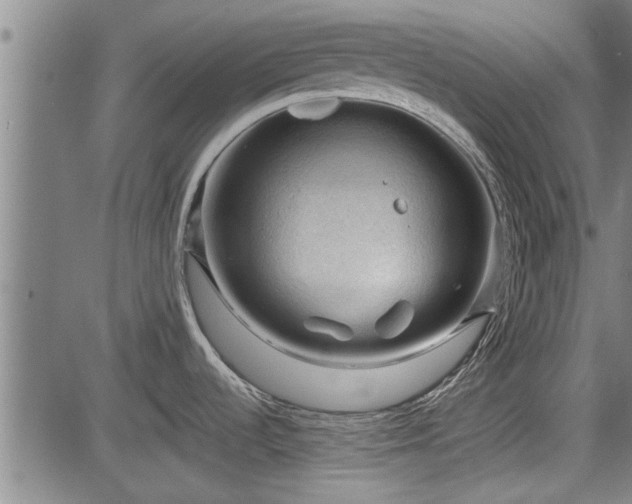 X0000083611536200702201236