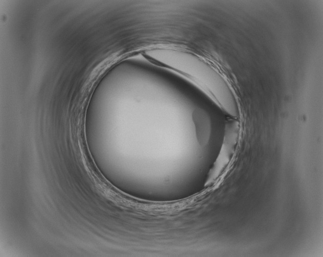 X0000083610001200702260940