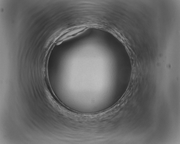 X0000083610002200702260940