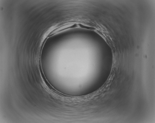 X0000083610003200702260940