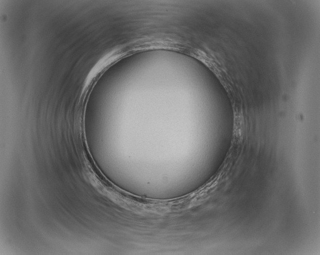 X0000083610004200702260940