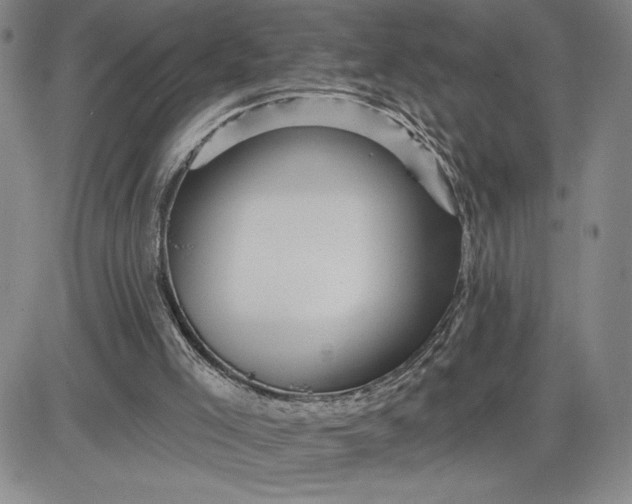 X0000083610005200702260940