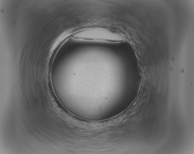 X0000083610006200702260940