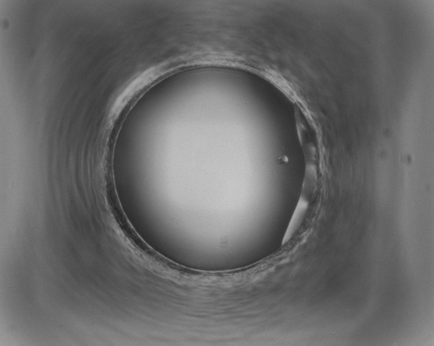 X0000083610007200702260940