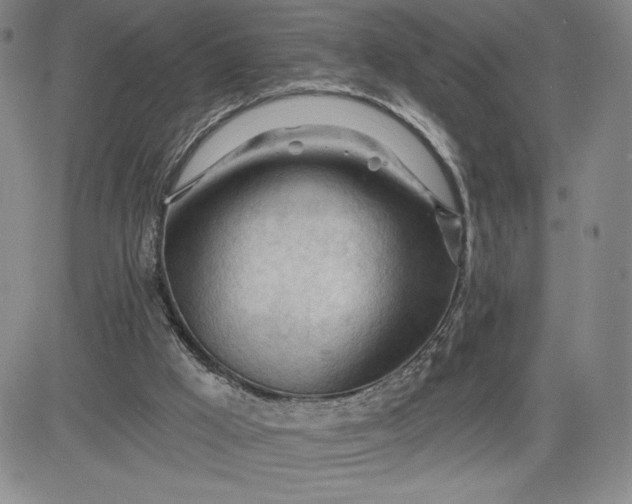 X0000083610009200702260939