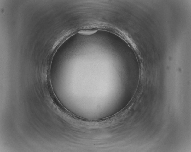 X0000083610010200702260939