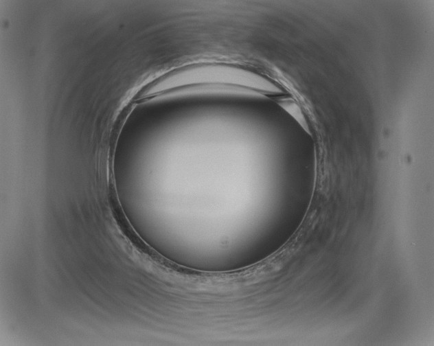 X0000083610011200702260939