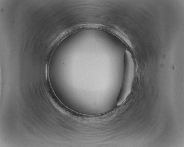 X0000083610013200702260939