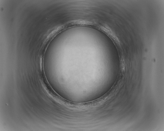 X0000083610014200702260939