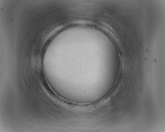 X0000083610016200702260939