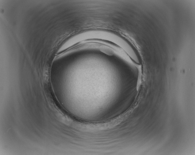 X0000083610017200702260939