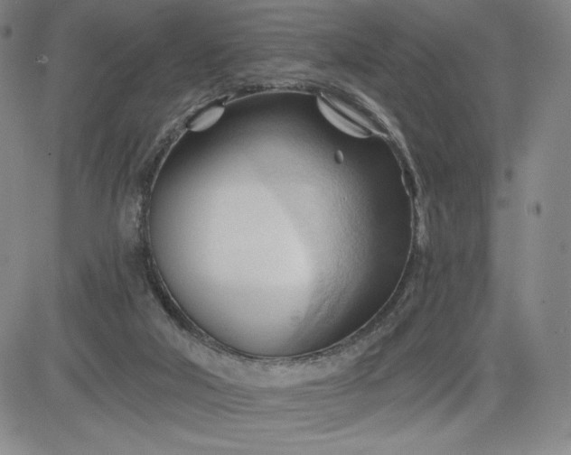 X0000083610018200702260939