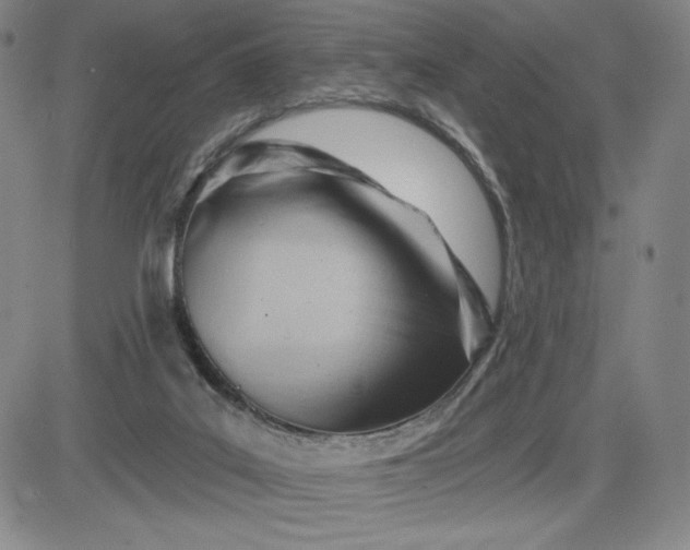 X0000083610019200702260939