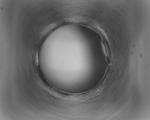 X0000083610020200702260939