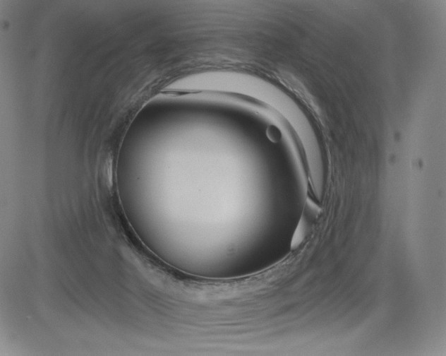 X0000083610021200702260939