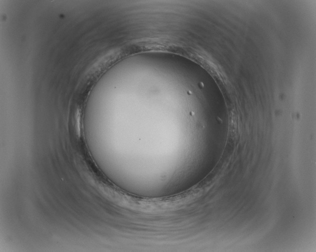 X0000083610022200702260939