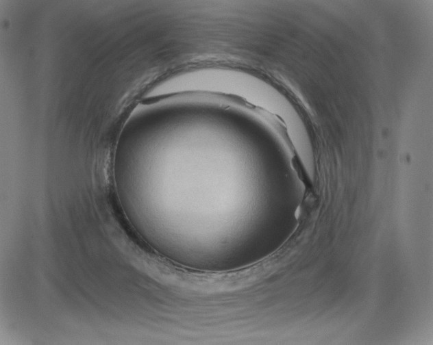 X0000083610023200702260939