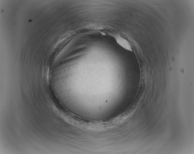 X0000083610024200702260939