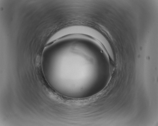 X0000083610025200702260939